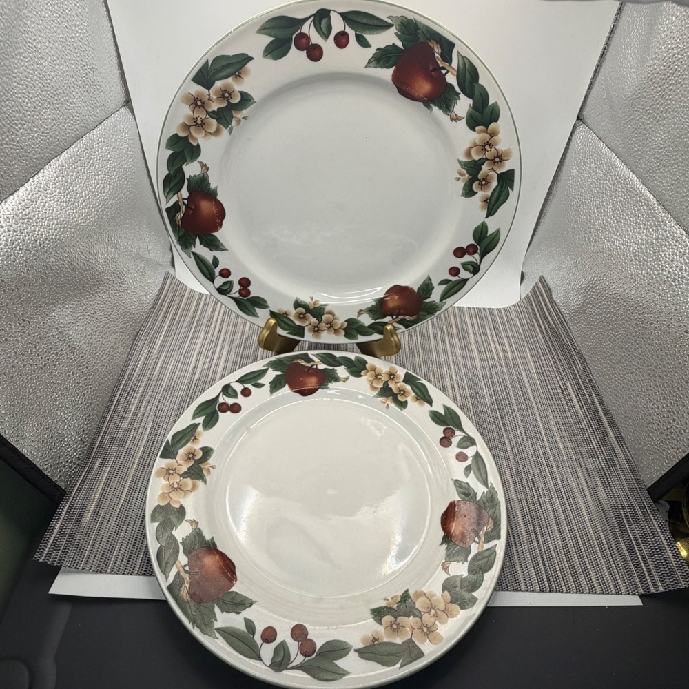 Set of 2 Citation Cades Cove Collection Dinner Plates 10.5 Apple Floral Ceramic